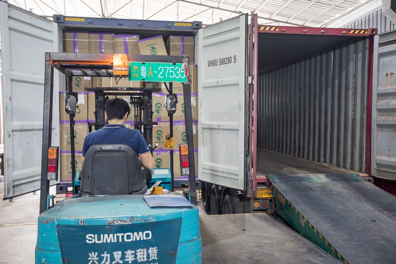 ·ðɽ²Ö´¢ÎïÁ÷ ·ðɽ²Ö´¢ÎïÁ÷